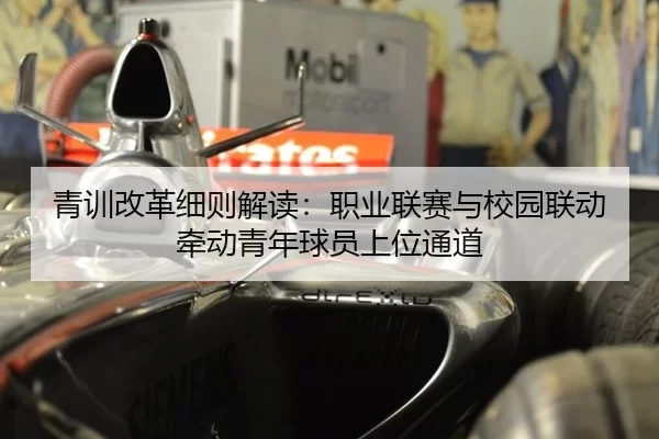 qing-xun-gai-ge-xi-ze-jie-du-zhi-ye-lian-sai-yu-xiao-yuan-lian-dong-qian-dong-qing-nian-qiu-yuan-shang-wei-tong-dao-3-925.jpg